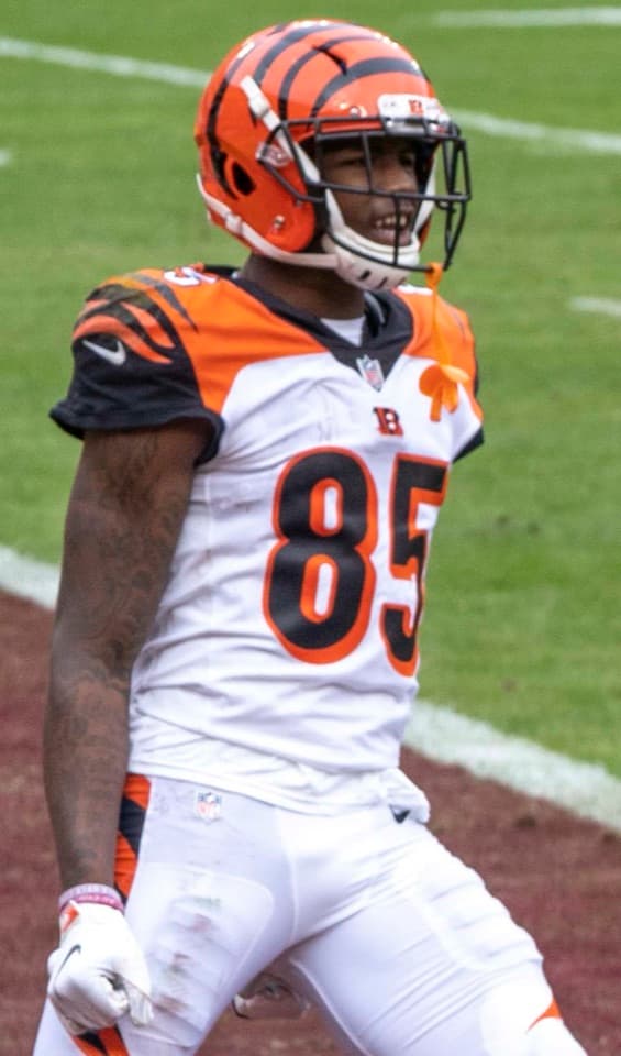 Photograph of Tee Higgins